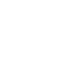 Ecom Bis
