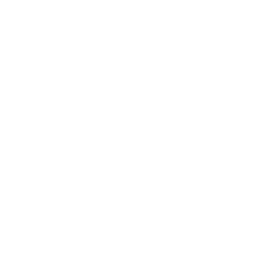 Ecom Bis