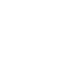 Keyword Seo Succes