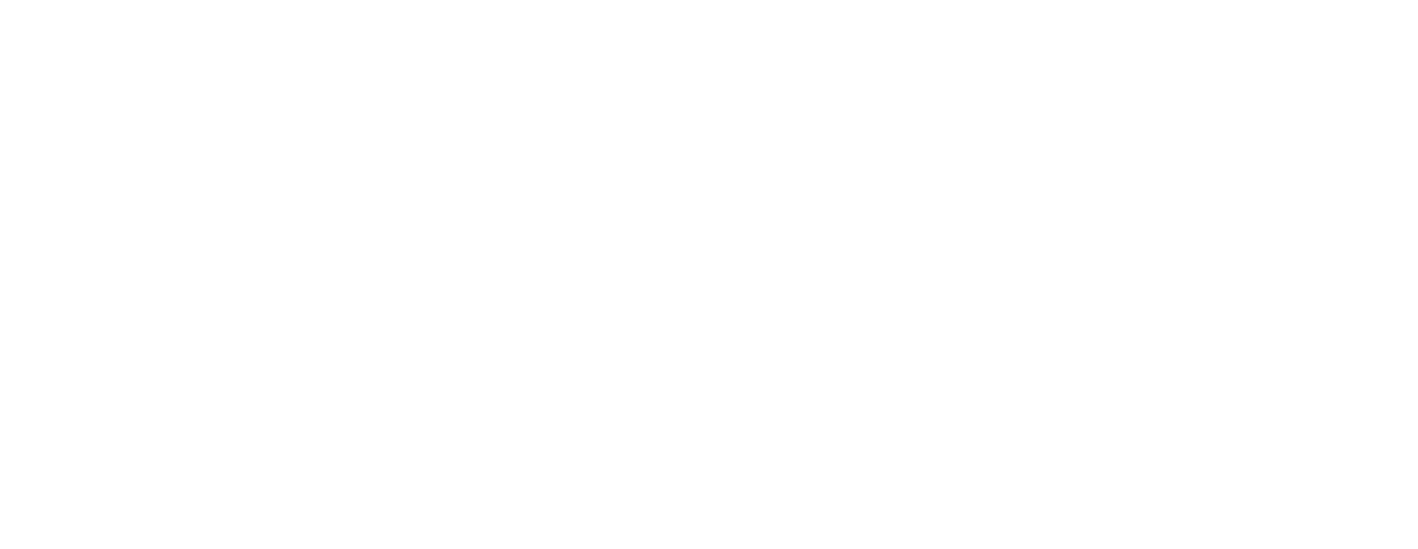Palnet