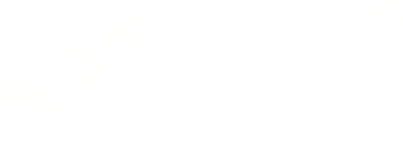 Palnet