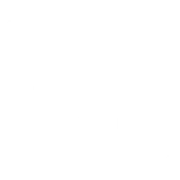Ecom Web